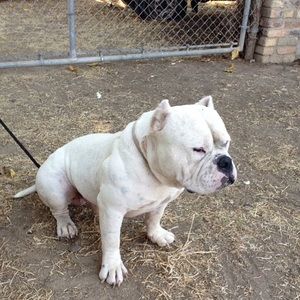 Meet your Posher, Nathan